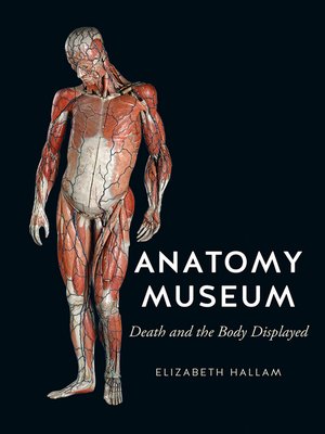 cover image of Anatomy Museum
